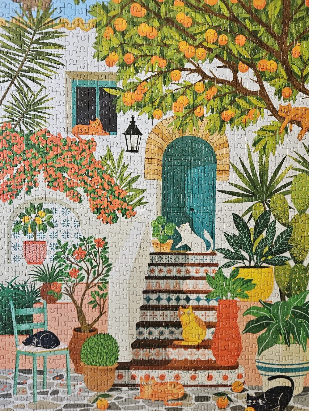 Mediterranean Cats Puzzle — Galison 1000 Piece Puzzle - Picture 4 of 4